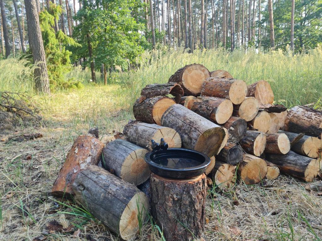 Fotografia z galérie ubytovania Pod Czarnym Dzięciołem - dom z widokiem i prywatną balią v destinácii Mazówki