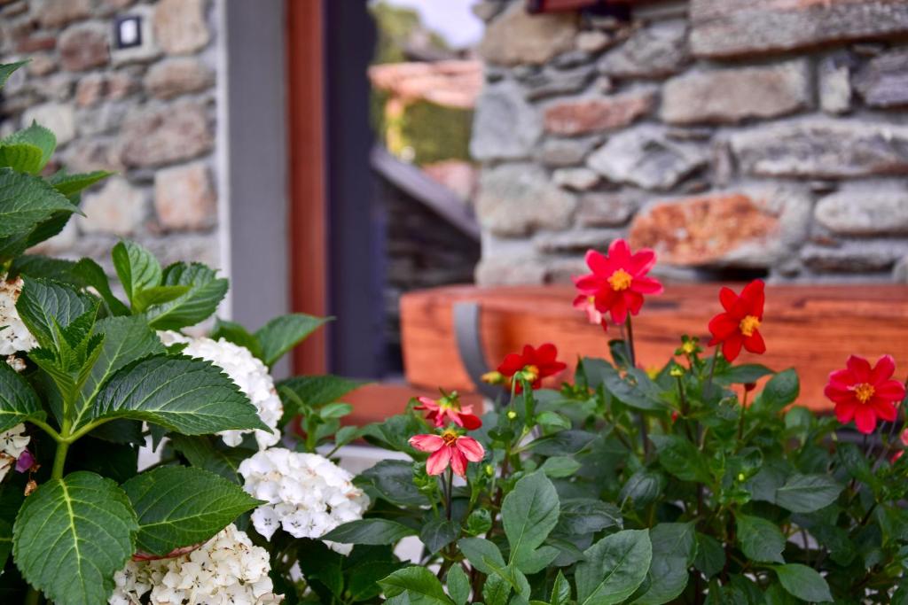 Ogród w obiekcie La Volta - Lake Como Heritage Home in Molino Maufet Watermill - Patio on the garden