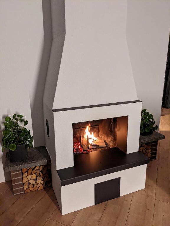 Young Backpackers Homestay - Resim 14