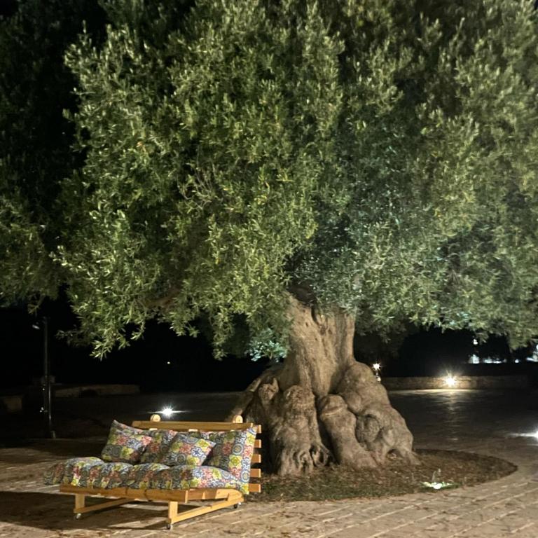 Zahrada ubytování Trullo Nadia Ostuni