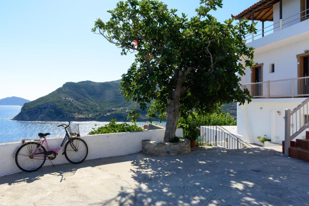 una bicicleta estacionada junto a un árbol al lado de un edificio en tsoukalaria studios, en Skopelos Town