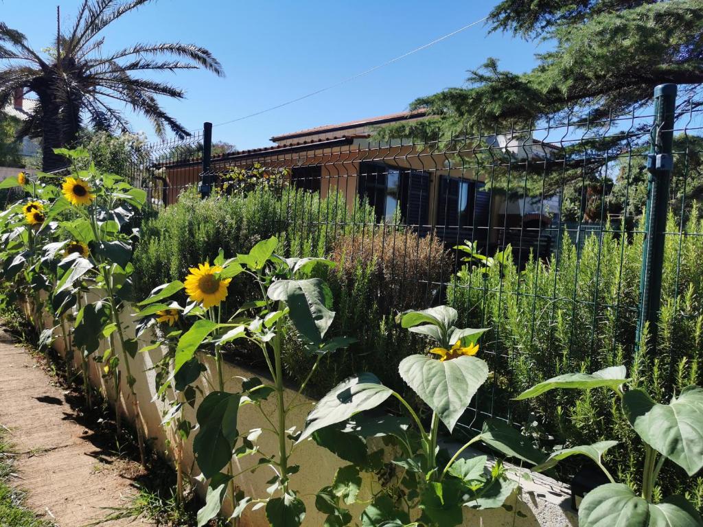 Giardino di Apartment Kika