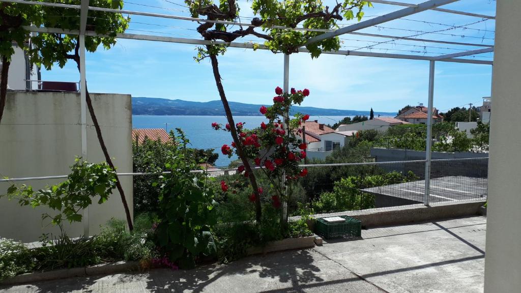 Příroda nedaleko apartmánu