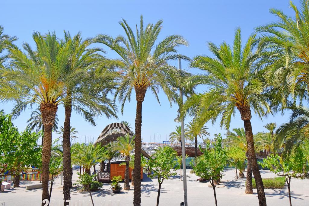 Zahrada ubytování 134 Apartamento Pins-Tugores by Mallorca Charme