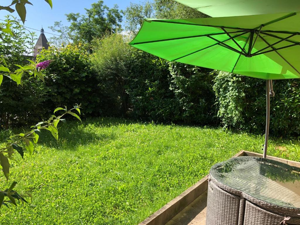 a green umbrella sitting on top of a lawn at Le Grasberg in Bergheim