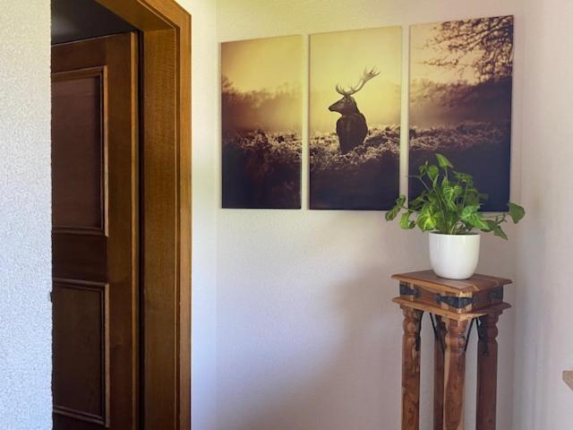 Fotografie z fotogalerie ubytování Gästehaus Johannes v destinaci Niedernsill