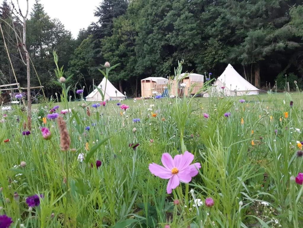 Forest Meadow Retreat