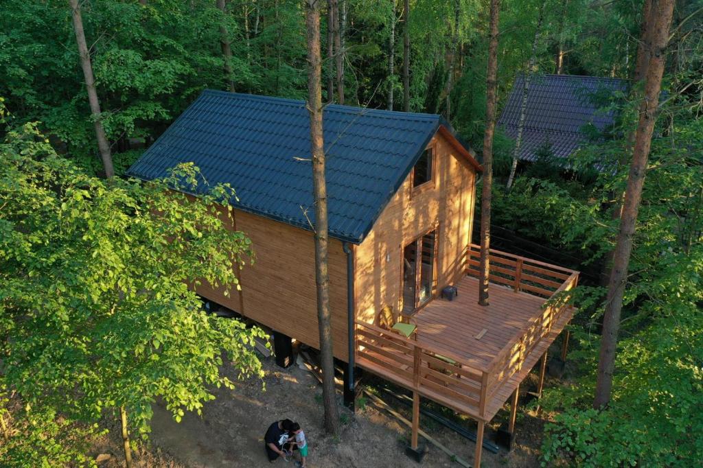 widok na mały domek w lesie w obiekcie Lasoterapia (Foresttherapy) w mieście Sopieszyno