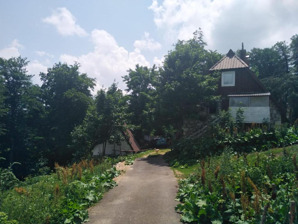 Zahrada ubytování Apartment Dobre Vode