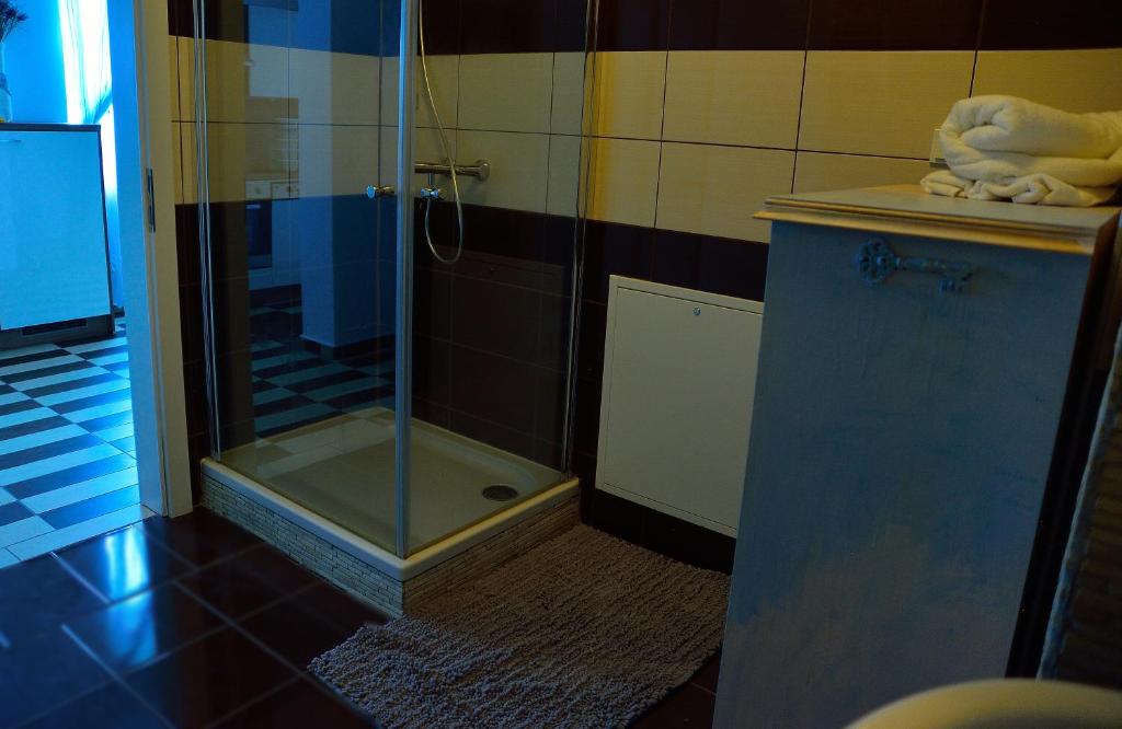 Koupelna v ubytování Kunst Apartment im Schwalbenhaus