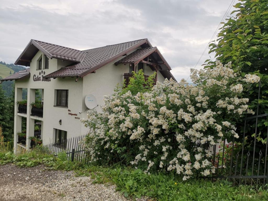 una casa blanca con una valla y un arbusto de flores en Casa Doina, en Vatra Dornei