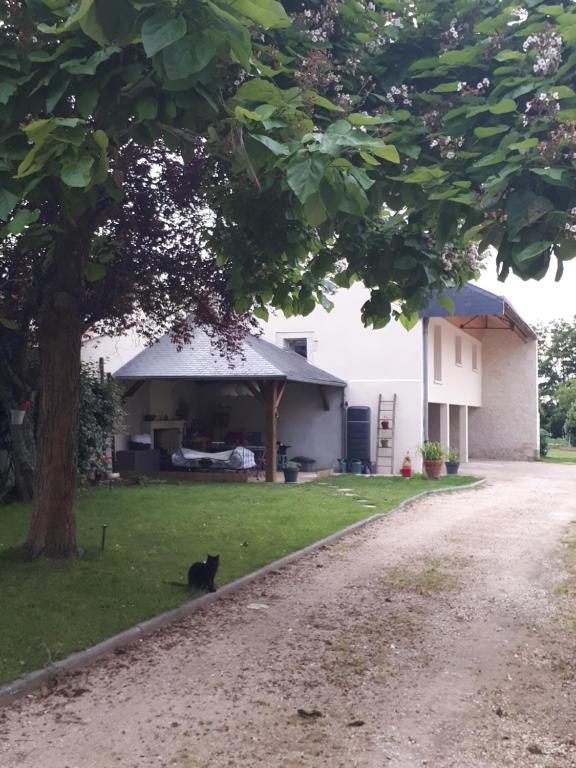 un gato negro sentado en el césped junto a una casa en Gite Amanala Poitou en Saint-Genest-dʼAmbière