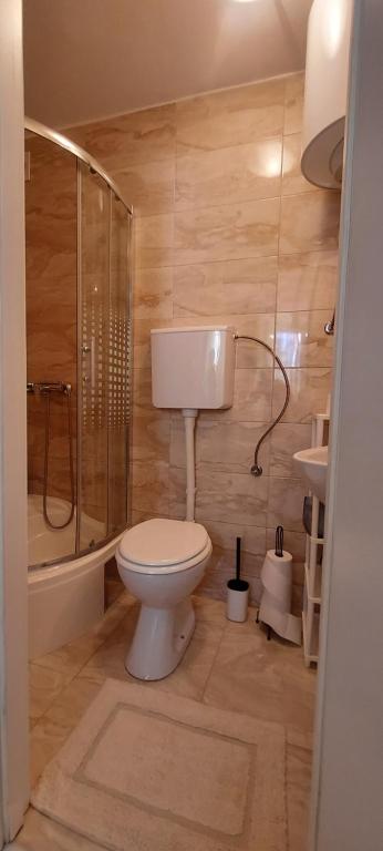Kúpeľňa v ubytovaní Apartment Agora