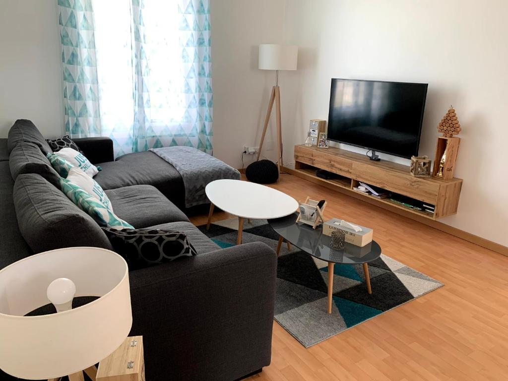 un salon avec un canapé et une télévision à écran plat dans l'établissement Appartement Cosy à quelques minutes du Centre, à Châlons-en-Champagne