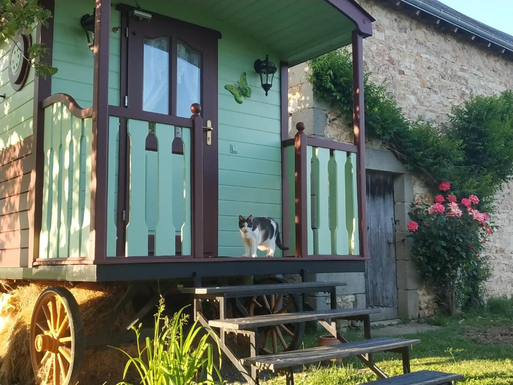 un gato sentado en el porche de una casita en Maison d'hôtes La Roulotte des 4 Saisons, en Sazeray