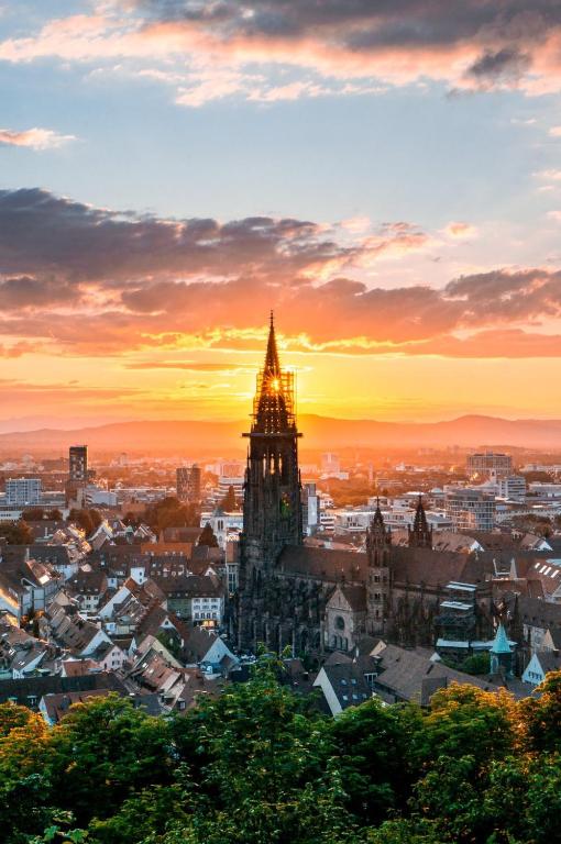Galeriebild der Unterkunft Design Apartment BarcelonaNights in Freiburg im Breisgau