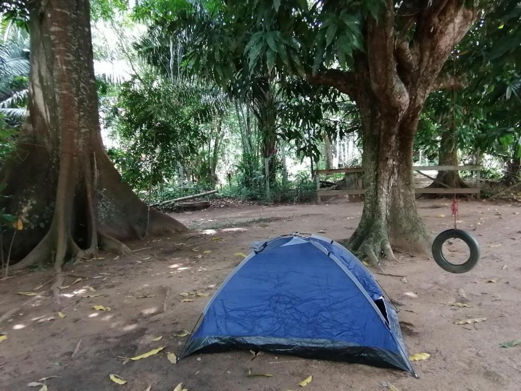 Fotografie z fotogalerie ubytování Don Jaime - Hostel v destinaci Puerto Maldonado
