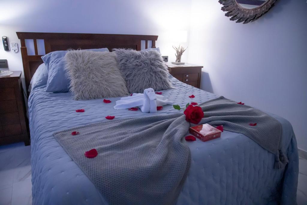 Apartamento Estrella Sauna Spa Jacuzzi - imagen 3