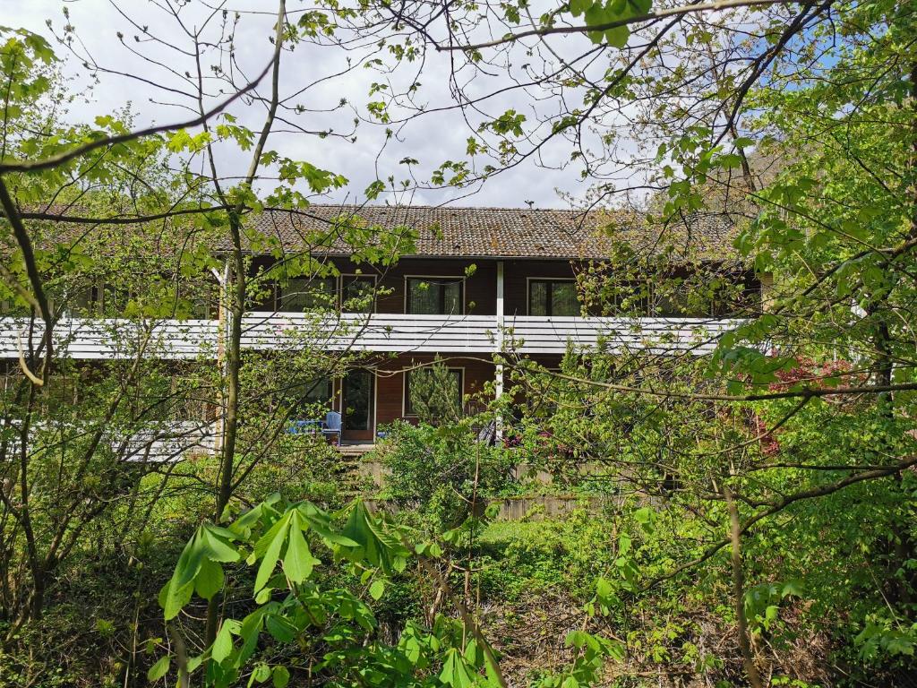 Zahrada ubytování Vor lauter Bäumen B&B