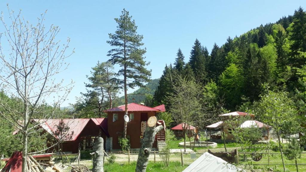 Doga ile basbasa Eko yayla