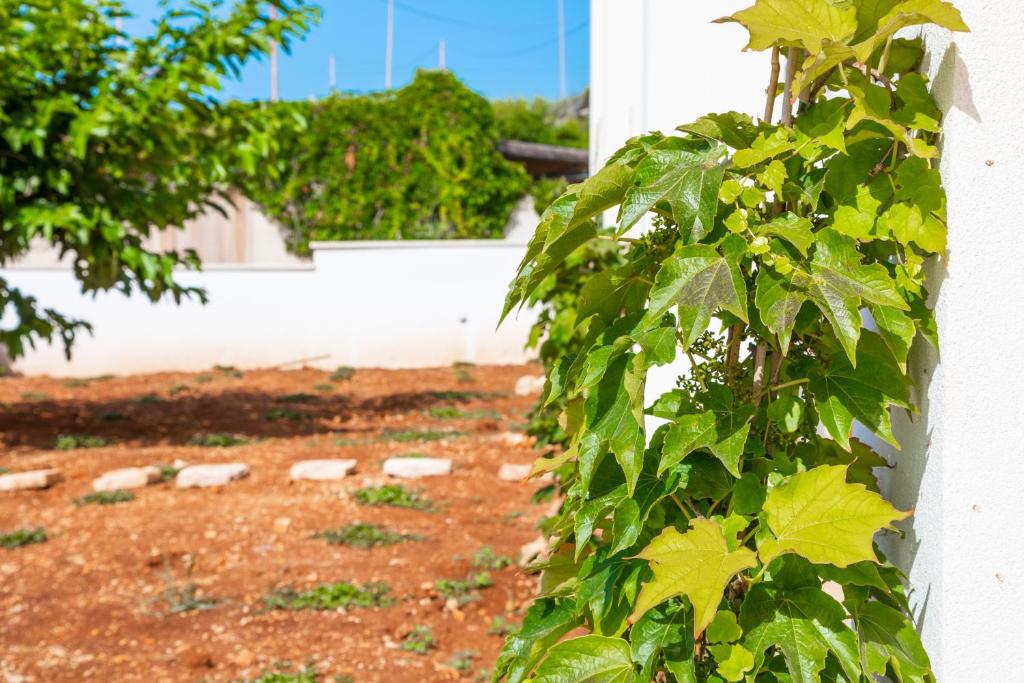 Zahrada ubytování Hotel Magna Grecia