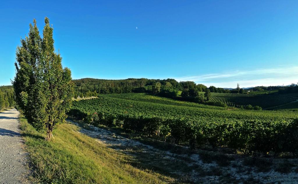 Tenuta "La Meirana"