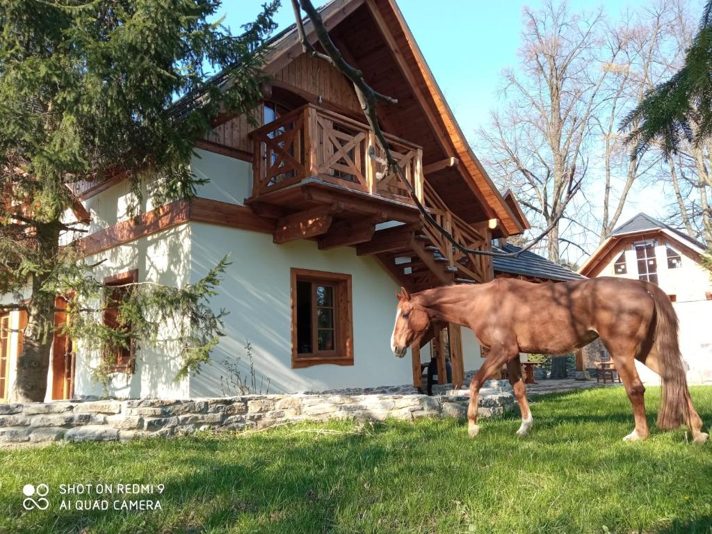un caballo caminando delante de una casa en Gniazdo w Parku en Waśniów