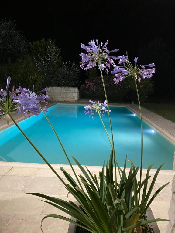 La Bastide Aixoise avec piscine et jacuzzi privé - Appartement D'une Chambre