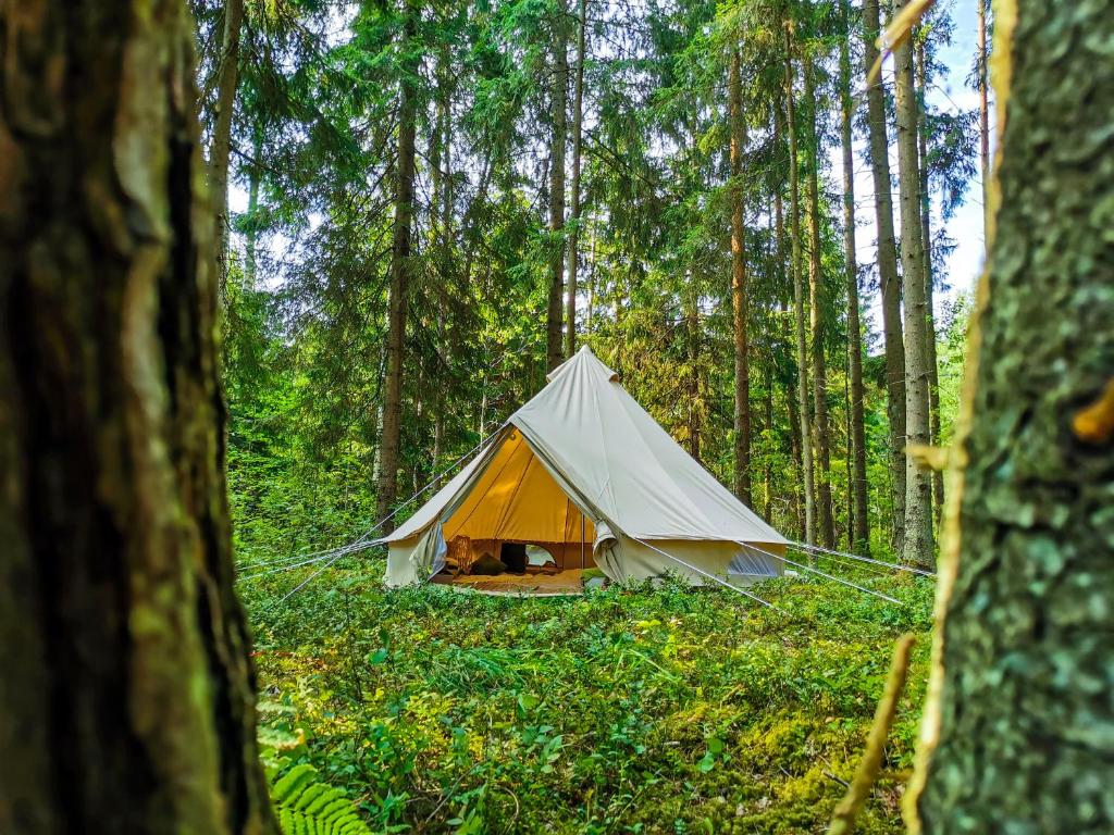 a tent in the middle of a forest at Kandle talu glämping in Selise