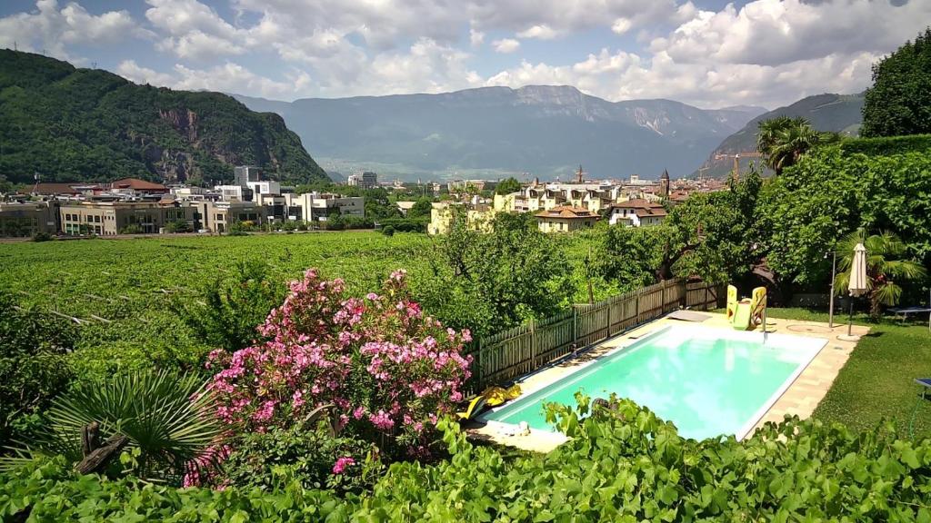 a swimming pool in a field with mountains in the background at Weingut Zundlhof in Bolzano