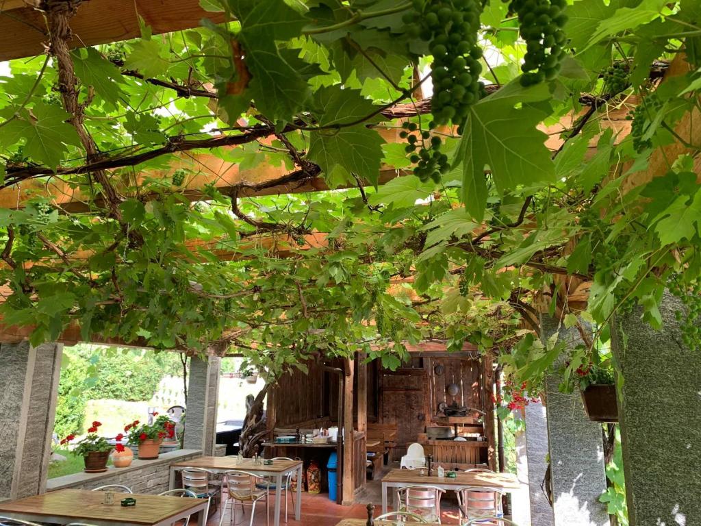Zahrada ubytování Hotel Restaurant Rätia