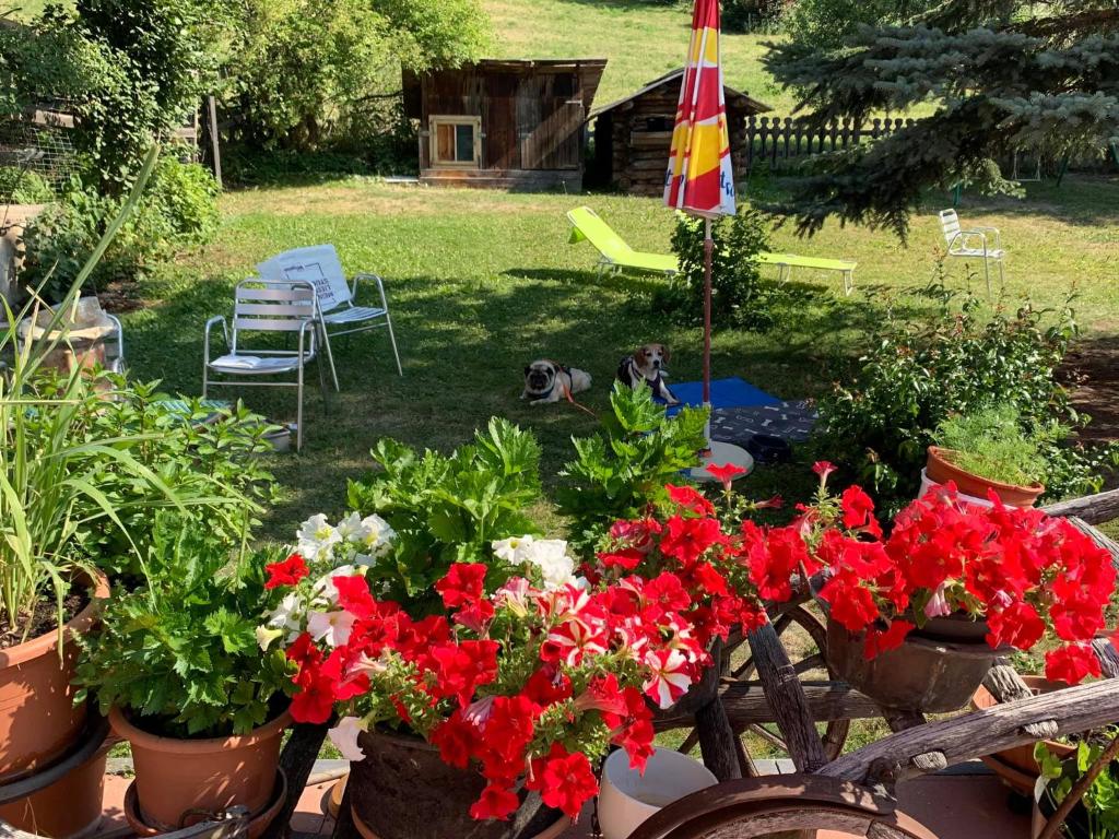 Zahrada ubytování Hotel Restaurant Rätia