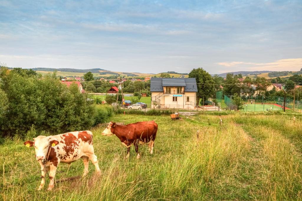 Príroda v okolí apartmánu
