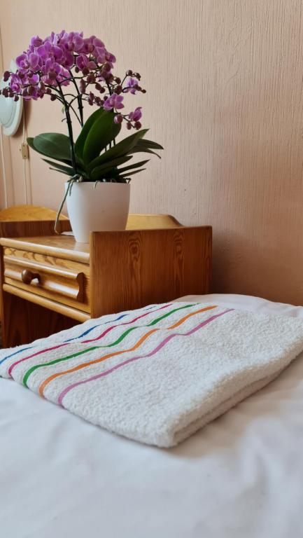 Postel nebo postele na pokoji v ubytování Oázis Panzió