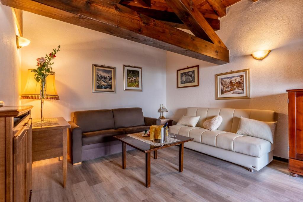 Hotel Des Alpes - 套房（2位成人）