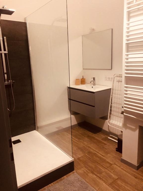 a bathroom with a sink and a glass shower at Appartement au cœur du Val d&#39;Argent in Sainte-Croix-aux-Mines