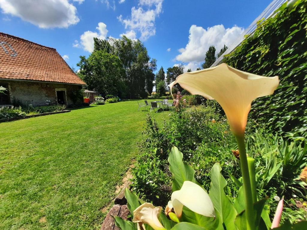 Um jardim em La Flandre entre plaine, mer et marais