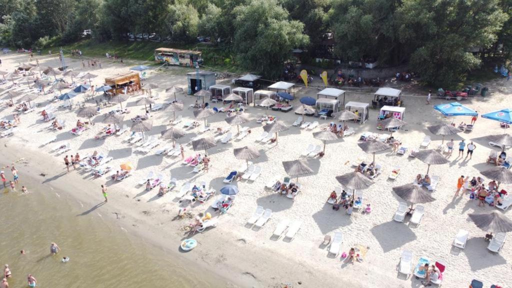 Hosté ubytování Albatros