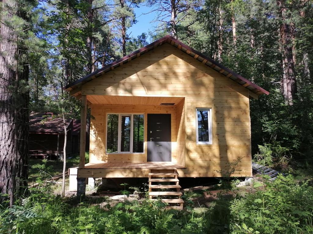 a tiny house in the middle of a forest at Гостевой дом в лесу in Tavda