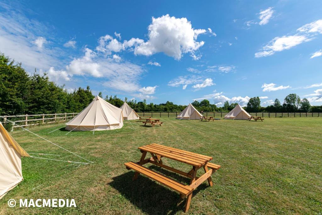 un gruppo di tende e un tavolo da picnic in un campo di Bell tent glamping at Marwell Resort a Winchester