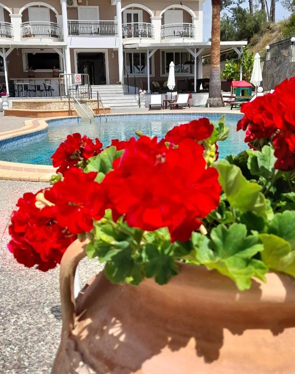 Bazén v ubytování Armonia Hotel by Zante Plaza nebo v jeho okolí