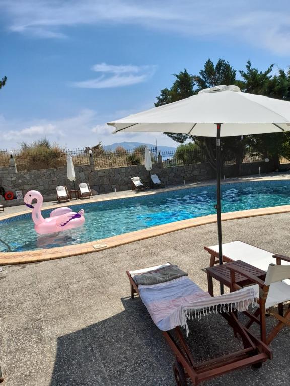 Bazén v ubytování Armonia Hotel by Zante Plaza nebo v jeho okolí