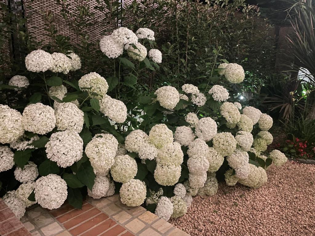 Vonkajšia záhrada v ubytovaní Borgata Cantone Country House B&B