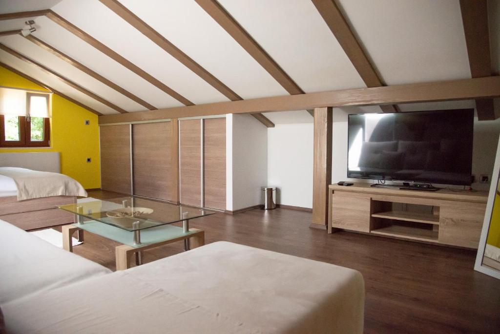 Televízia a/alebo spoločenská miestnosť v ubytovaní Holiday house Toš-Vila with heated pool