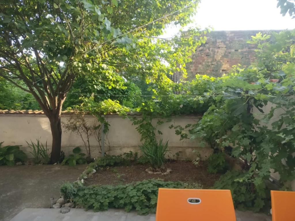 A garden outside Treti Mart North