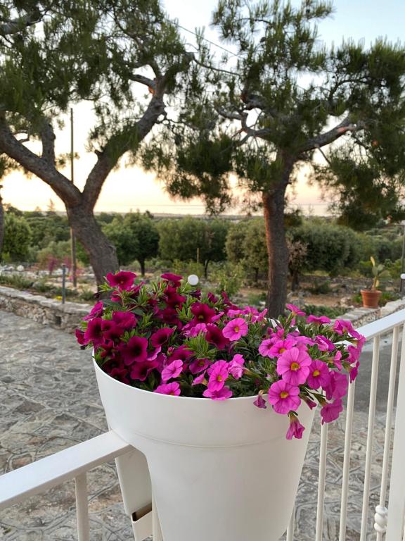 un fioraio bianco pieno di fiori rosa su una recinzione di Monte Simeone a Polignano a Mare