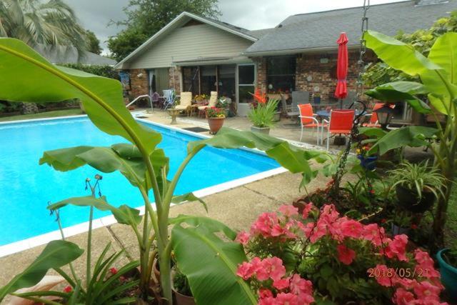 una casa con piscina y algunas flores en Poolside Paradise, en Navarre