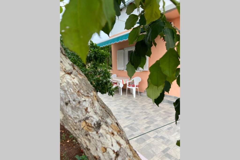 een boom voor een huis met een tafel en stoelen bij Manuel in Korčula