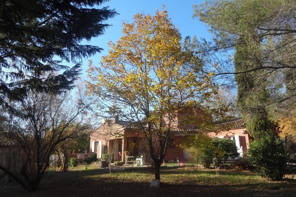 un árbol en el patio de una casa en Villa Katiramona, en Le Muy
