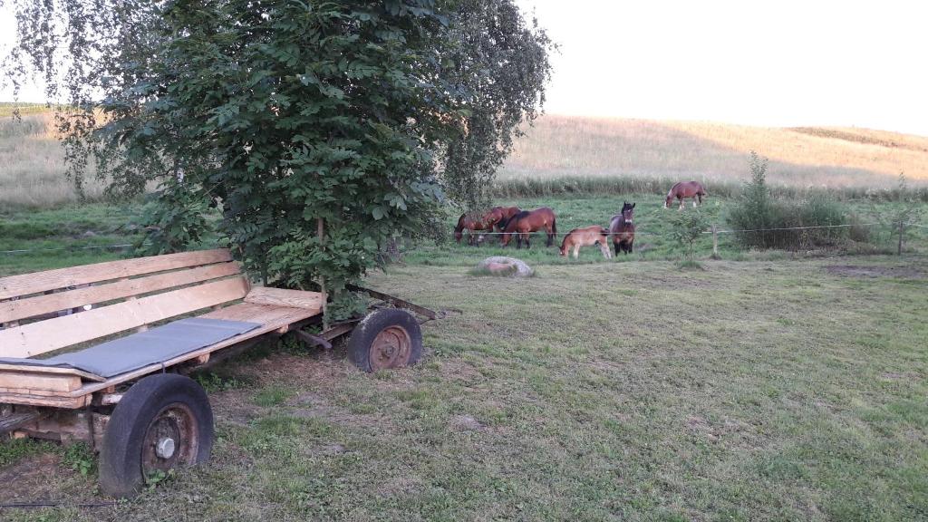 Príroda v okolí apartmánu